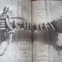 Tutankhamun. Henry James. Egypt Library. Folio, 2005 - Image 10