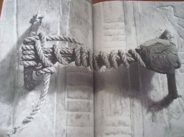 Tutankhamun. Henry James. Egypt Library. Folio, 2005 - Image 10