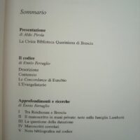 Códice de Eusebio, Le Concordanze di Eusebio, siglo XI - Imagen 12