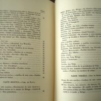 Description of the Kingdom of Granada, by Francisco Javier Simonet, s. XIX - Image 9