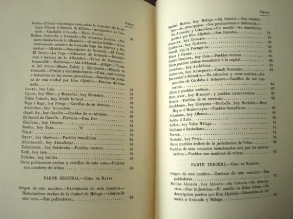 Description of the Kingdom of Granada, by Francisco Javier Simonet, s. XIX - Image 9