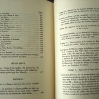 Description of the Kingdom of Granada, by Francisco Javier Simonet, s. XIX - Image 10