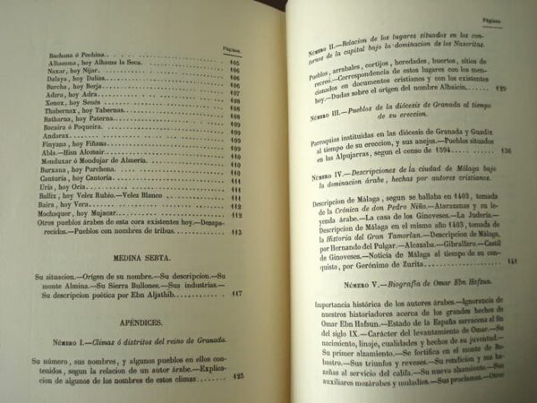 Description of the Kingdom of Granada, by Francisco Javier Simonet, s. XIX - Image 10
