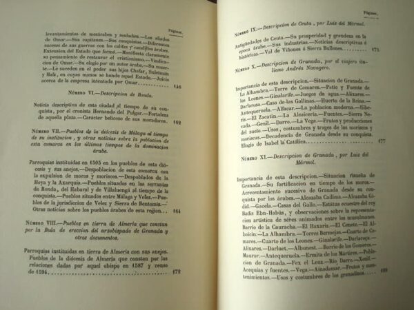 Description of the Kingdom of Granada, by Francisco Javier Simonet, s. XIX - Image 11