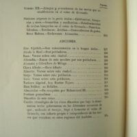 Description of the Kingdom of Granada, by Francisco Javier Simonet, s. XIX - Image 12