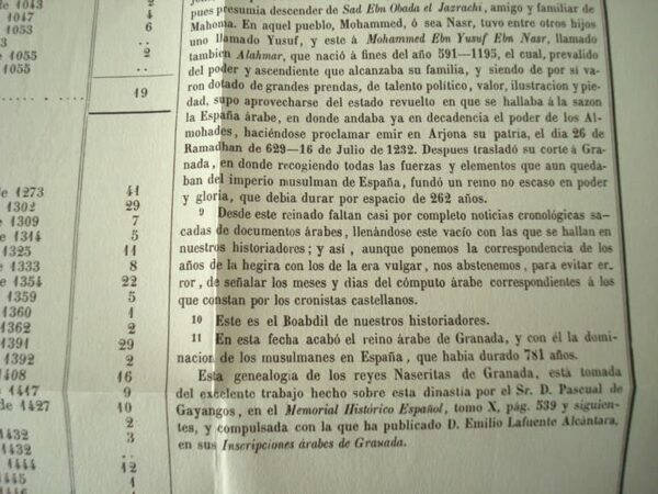 Description of the Kingdom of Granada, by Francisco Javier Simonet, s. XIX - Image 14