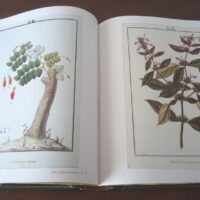 La Expedición Botánica al Virreinato del Perú (1777-1788), ejemplar de lujo y exclusivo - Imagen 12