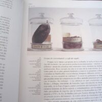 La Expedición Botánica al Virreinato del Perú (1777-1788), ejemplar de lujo y exclusivo - Imagen 8