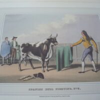 Tauromaquia. Spanish Bull Fighting. Clark y Dubourg. Londres 1813 - Imagen 7