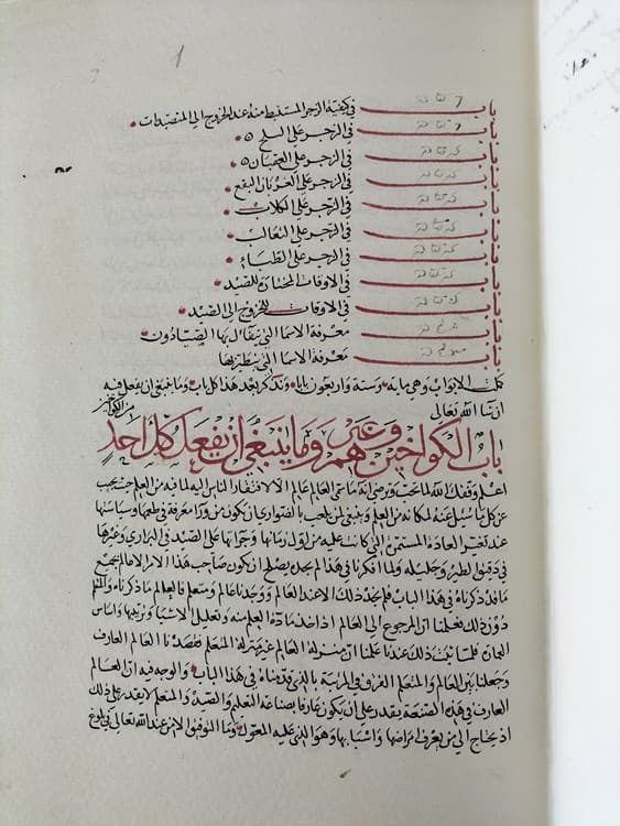 Al-yamhara fi l-bayzara (Issa Ibn Ali Al-Assadi) y Kitab al-l’tibar (Usama ibn Munqidh) - Imagen 3