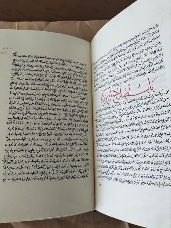 Al-yamhara fi l-bayzara (Issa Ibn Ali Al-Assadi) y Kitab al-l’tibar (Usama ibn Munqidh) - Imagen 4