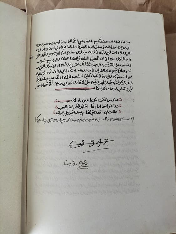 Al-yamhara fi l-bayzara (Issa Ibn Ali Al-Assadi) y Kitab al-l’tibar (Usama ibn Munqidh) - Imagen 5