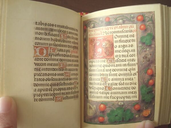 Book of Hours of Mary Stuart and Order of Execution, s. XVI - Image 9